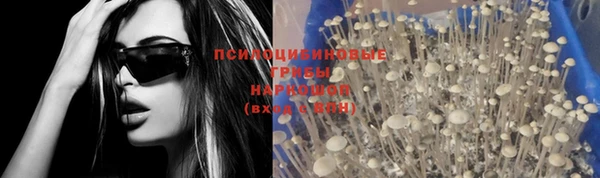 ALPHA PVP Беломорск