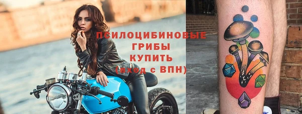 хмурый Балабаново