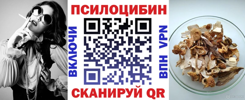 Псилоцибиновые грибы мицелий  Красный Холм 